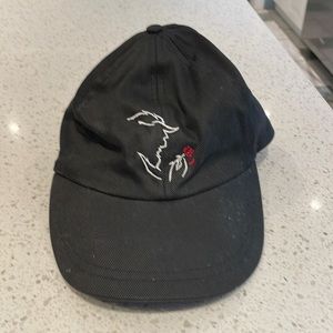COPY - EUC - Beauty and the Beast - the Musical ball cap